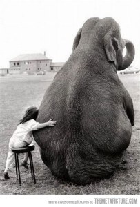 funny-girl-hugging-elephant-cute
