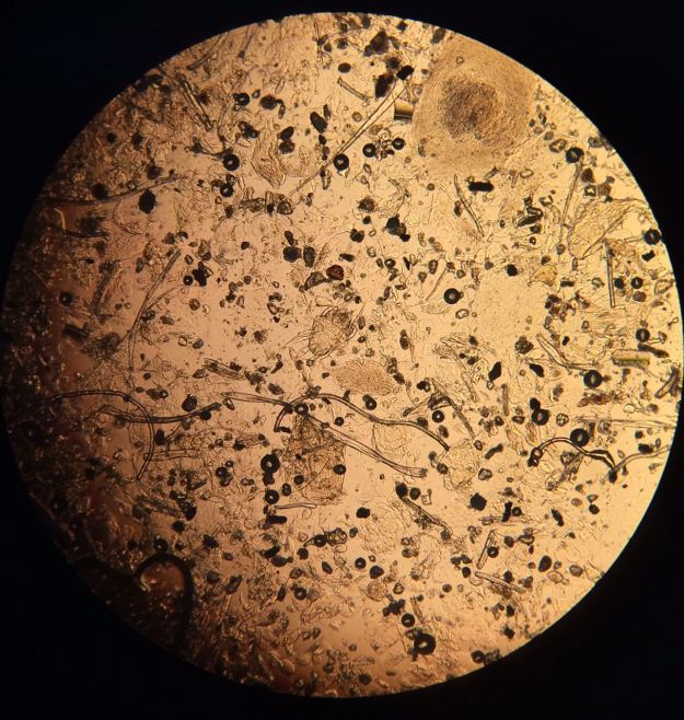 b970757a-e5f9-4eb7-80ee-3c88c130a285 (1)